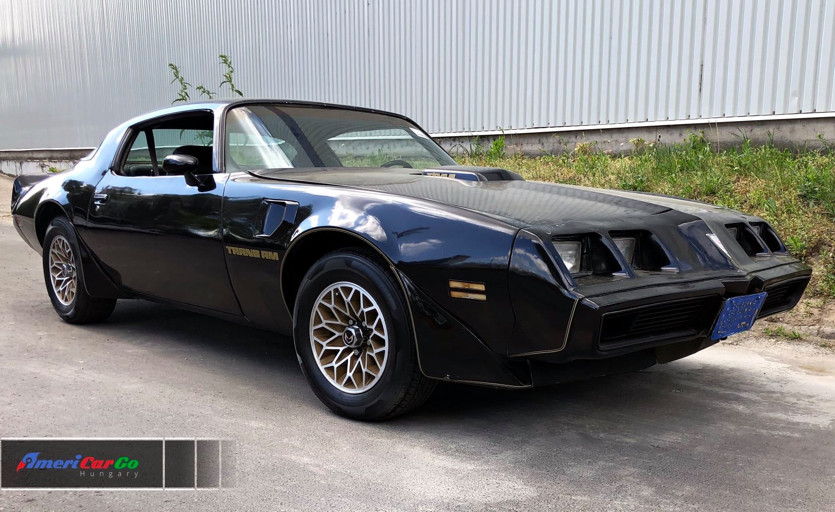 Pontiac Firebird Trans Am 1979